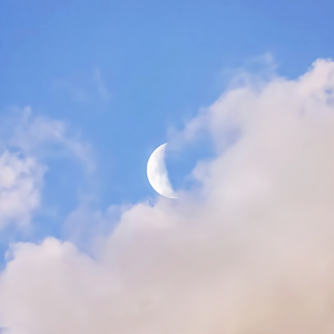 人妻大奶子视频
